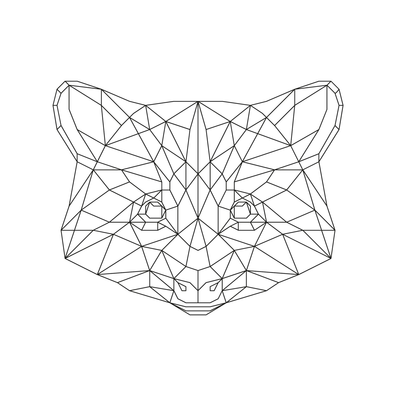 Raccoon