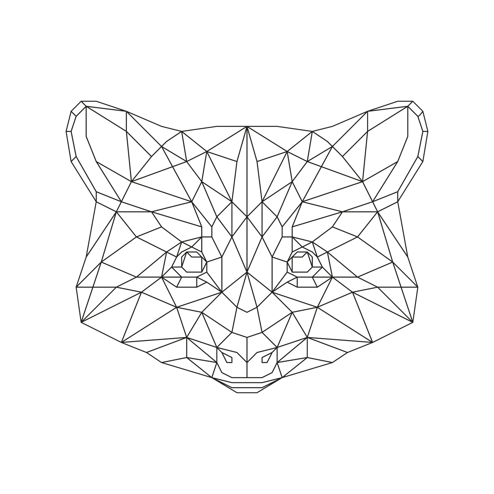 Raccoon