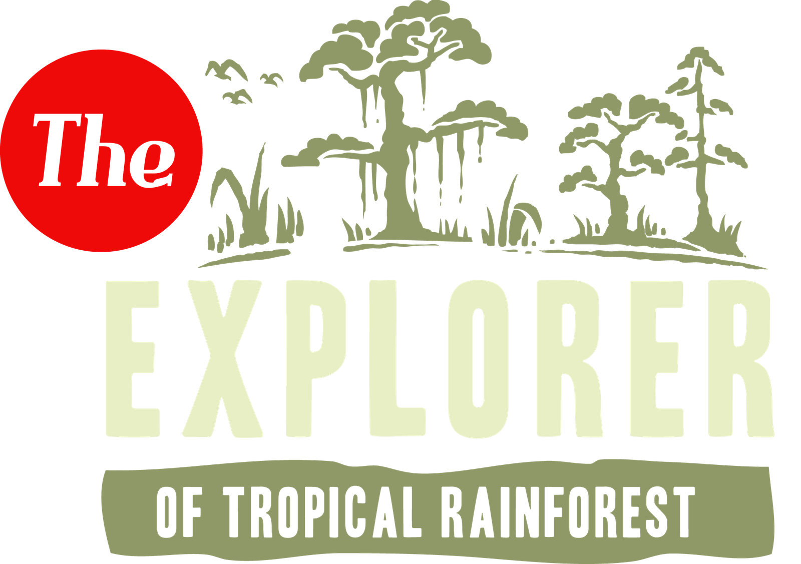 Rainforest Explorer