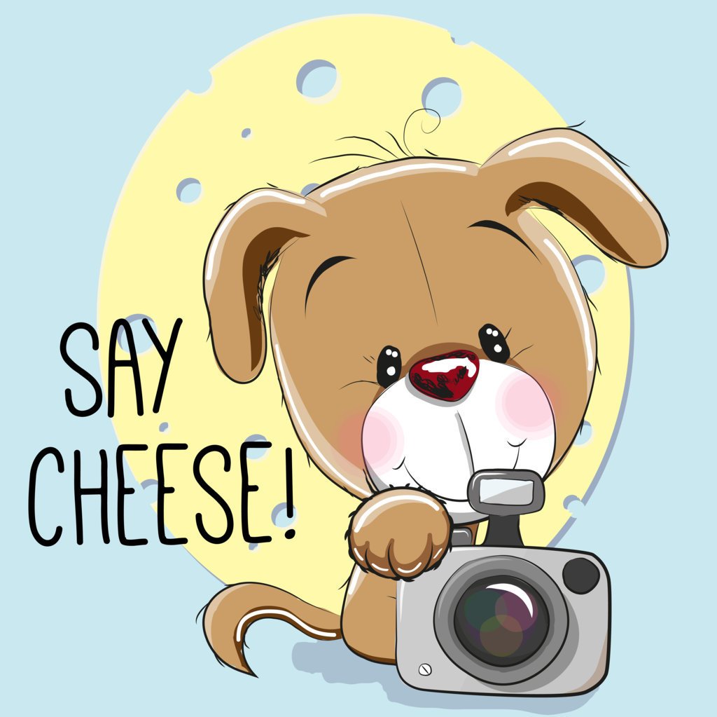 Say Cheese (3)