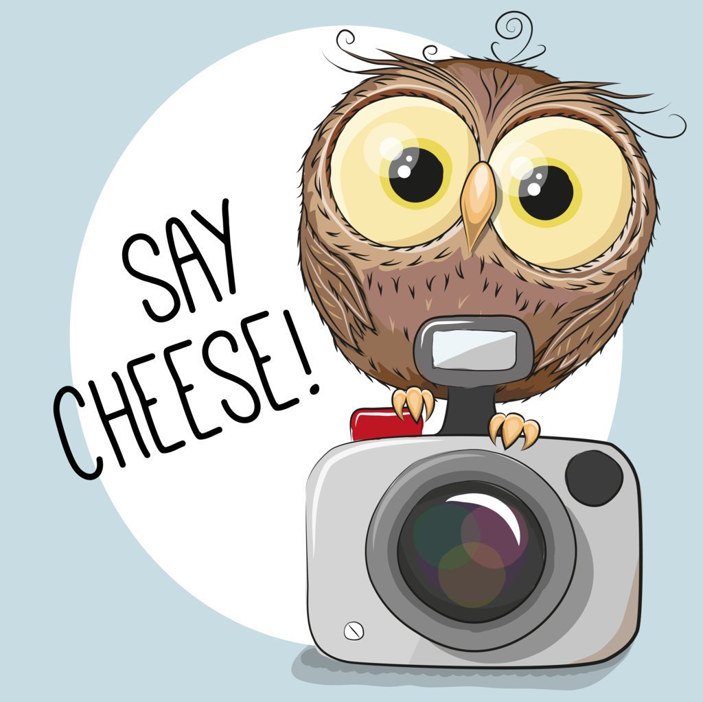 Say Cheese (5)