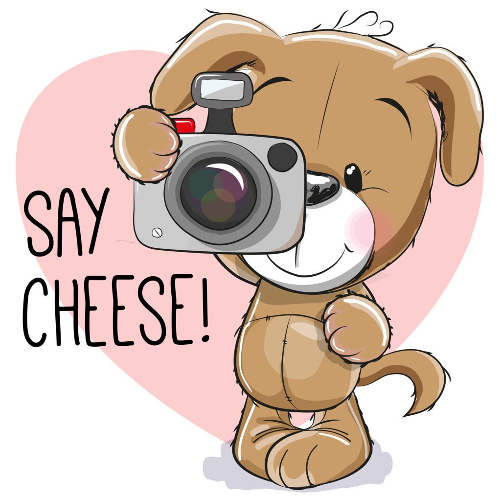 Say Cheese (6)