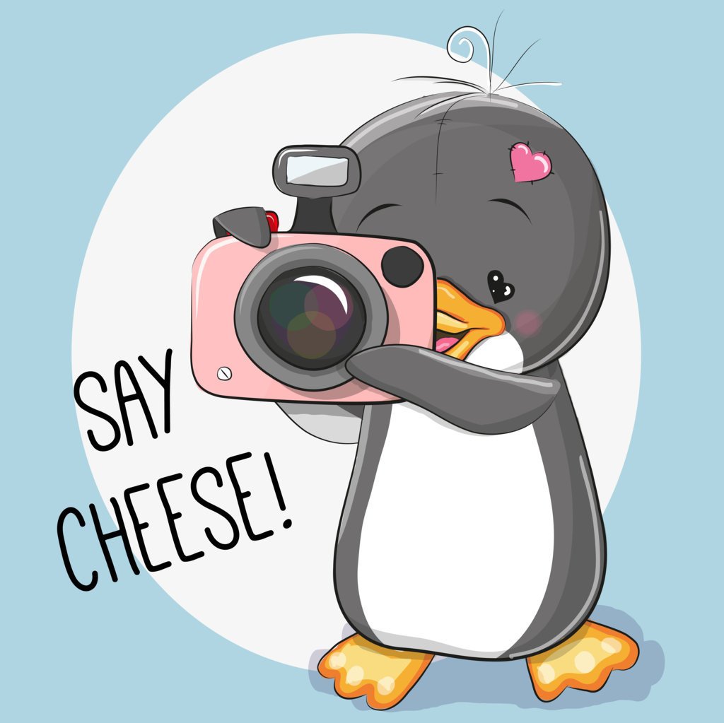 Say Cheese (7)
