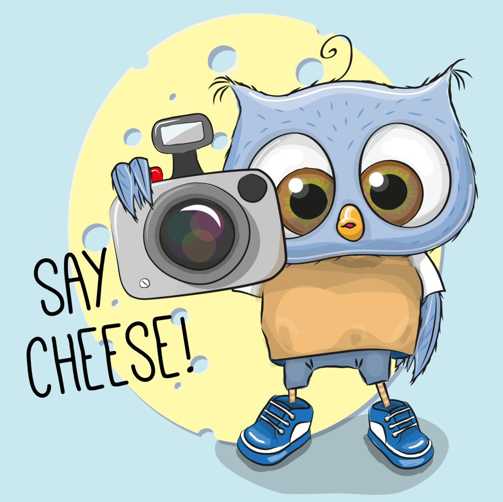 Say Cheese (8)