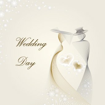 Set 100 – Wedding Day2
