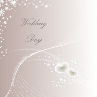 Set 100 Wedding Day1