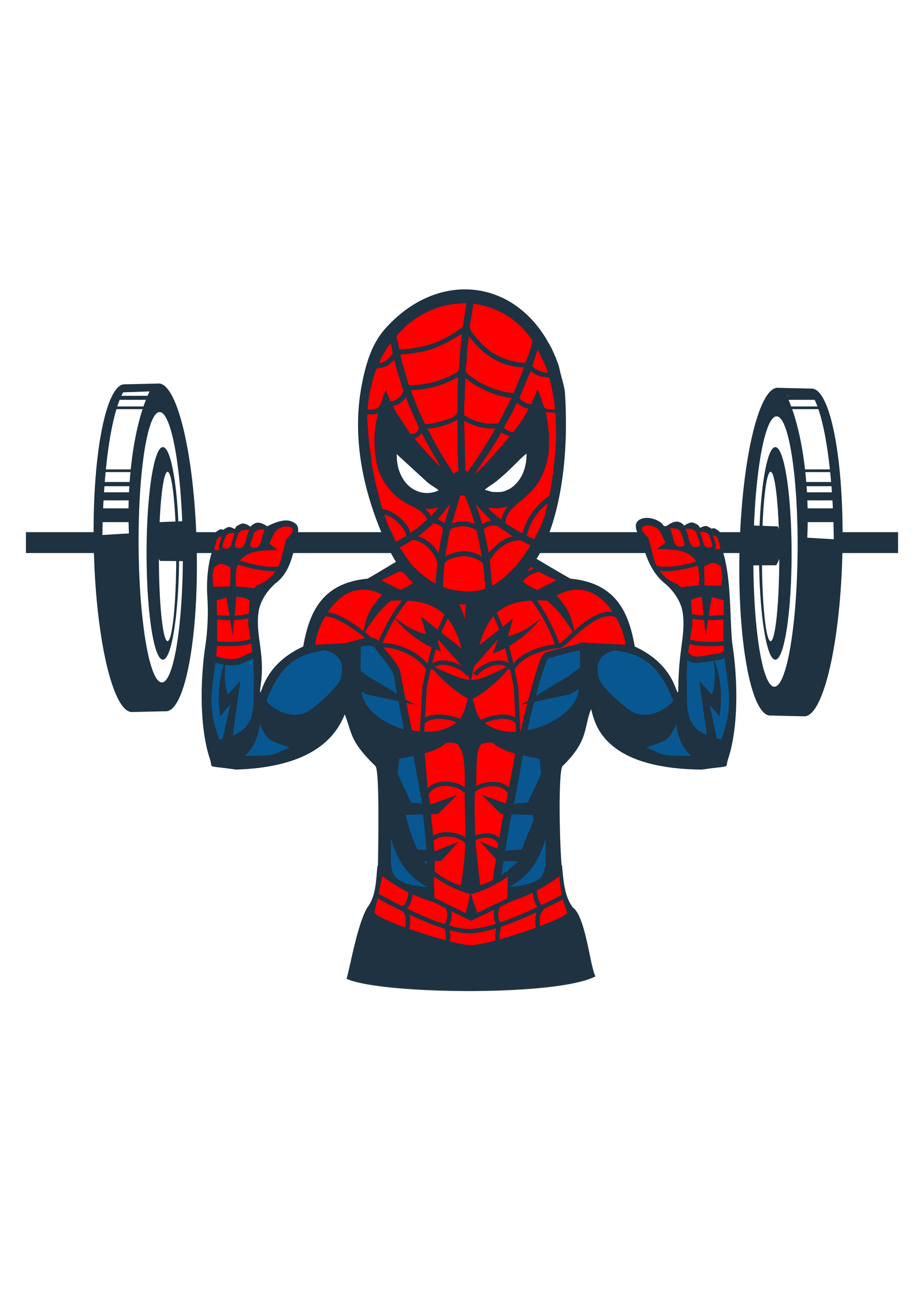 Spider Gym