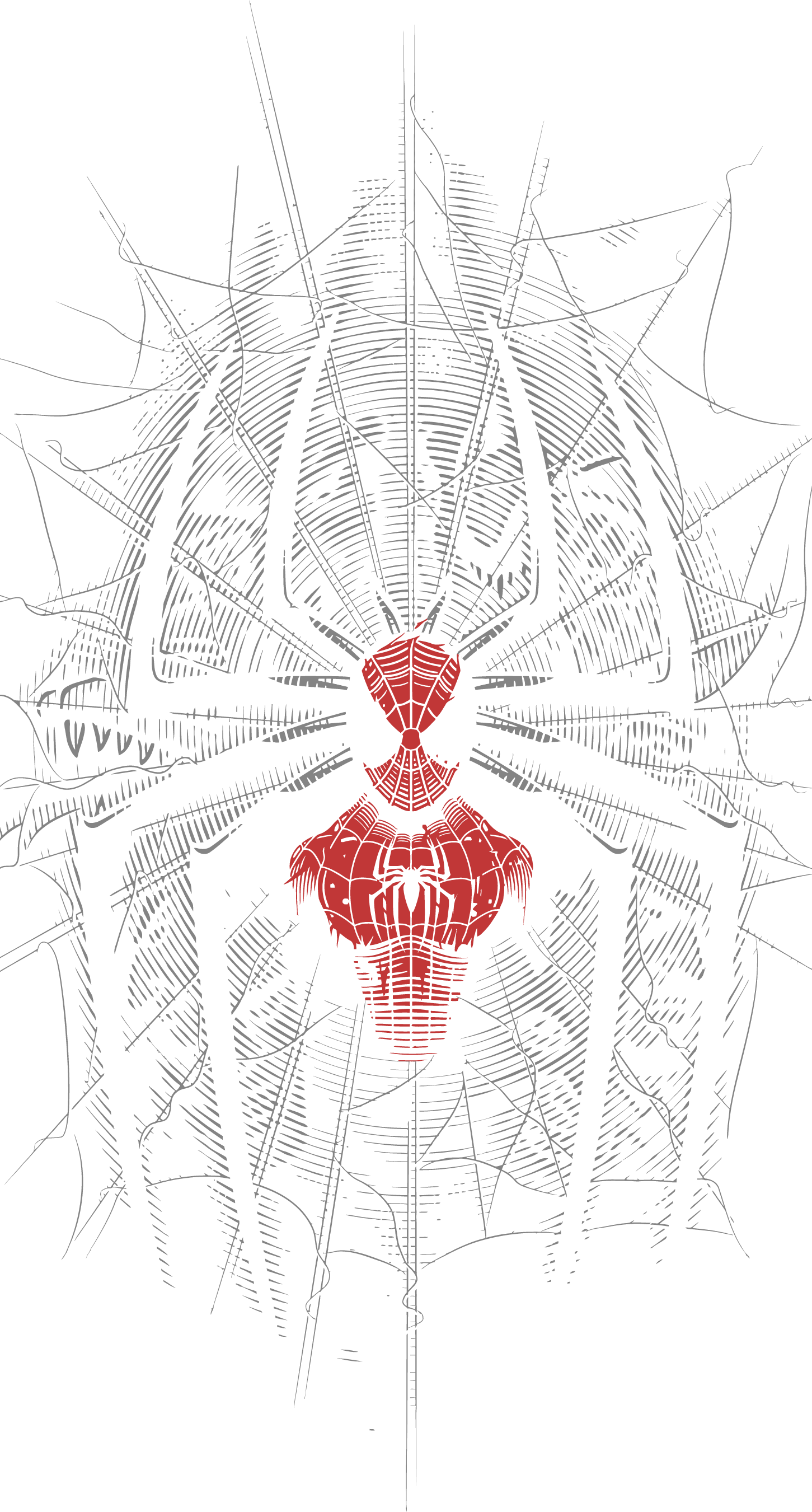 SpiderMan lineas