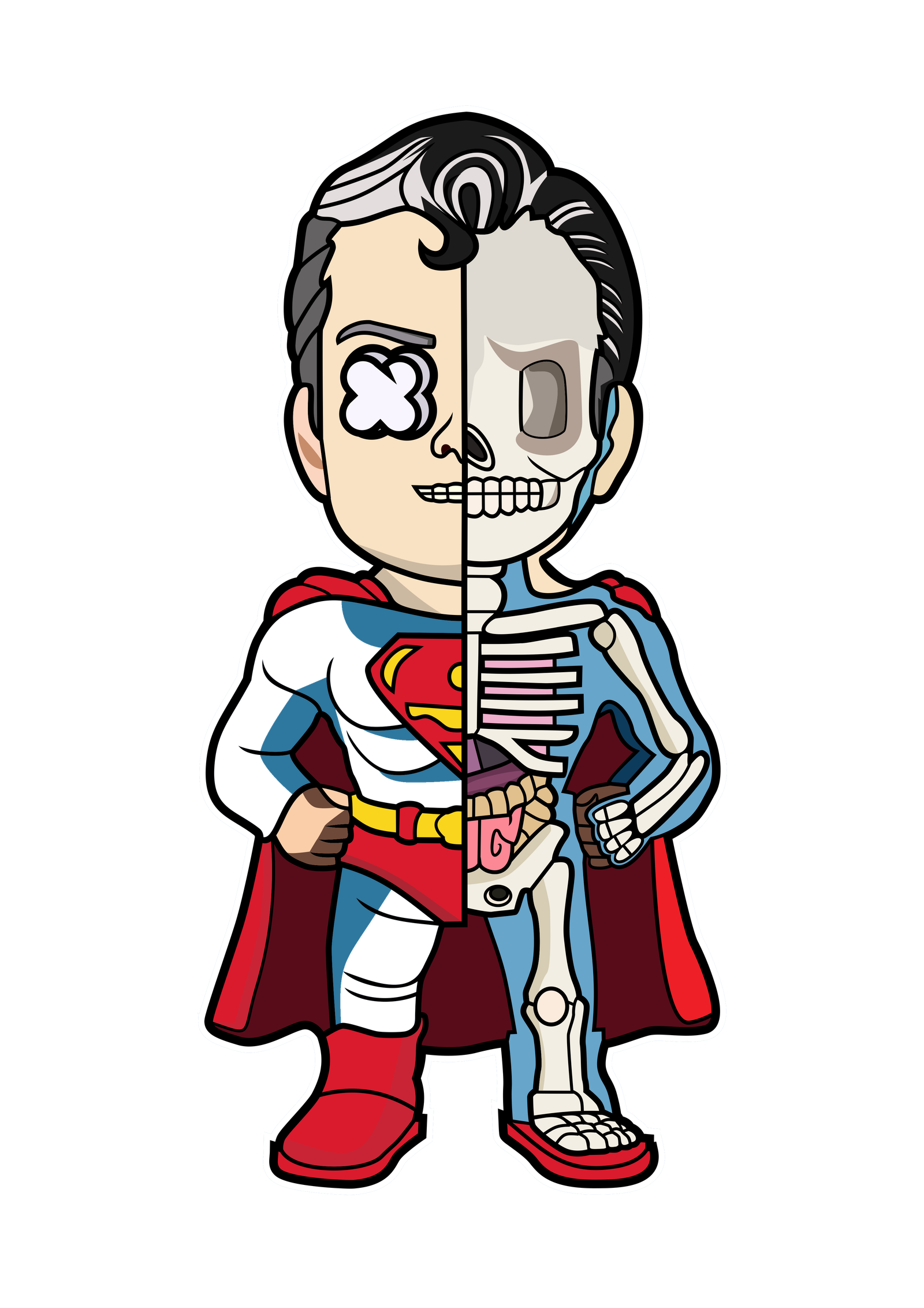 Superman Half Skeleton