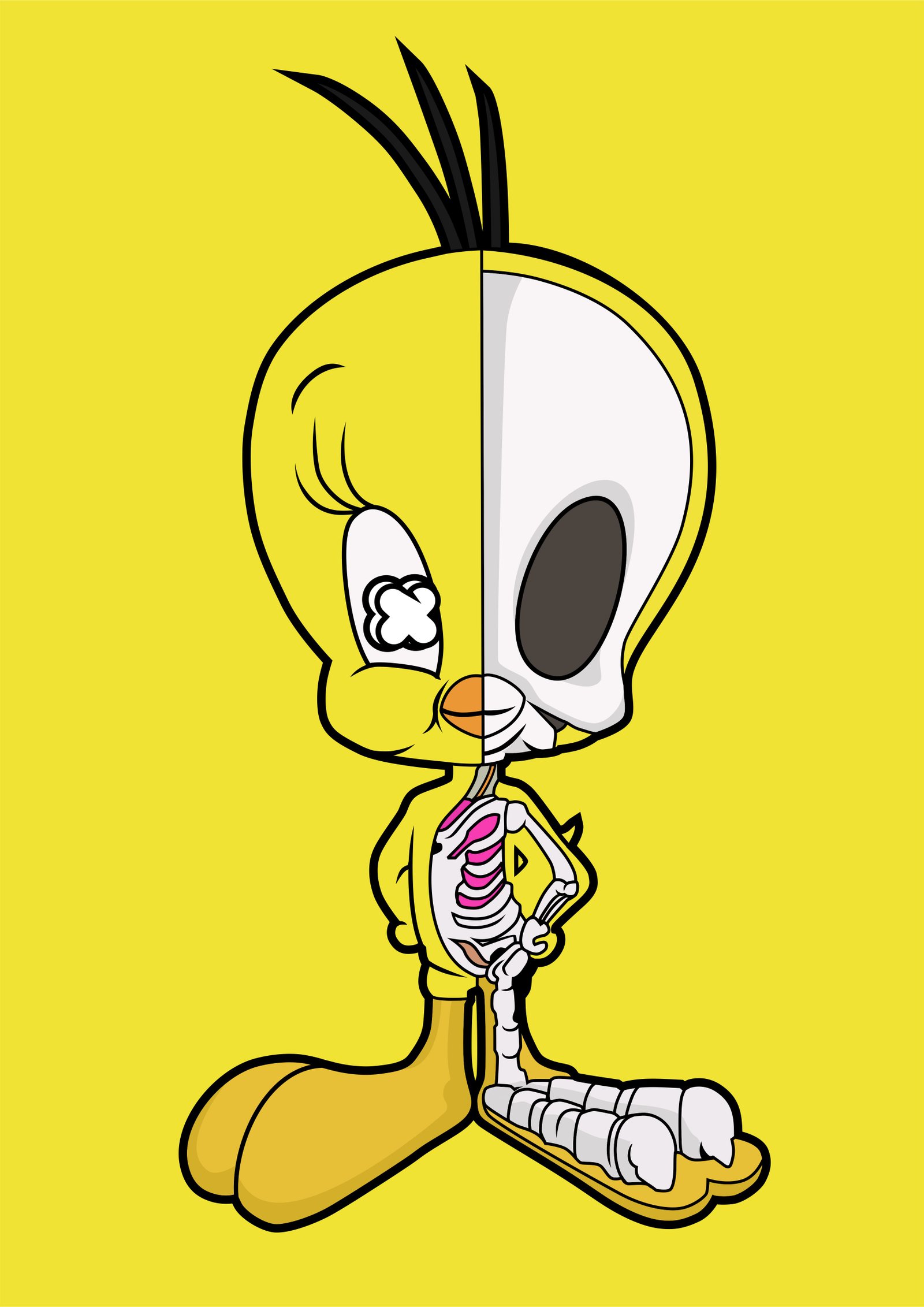 Tweety Half Skeleton