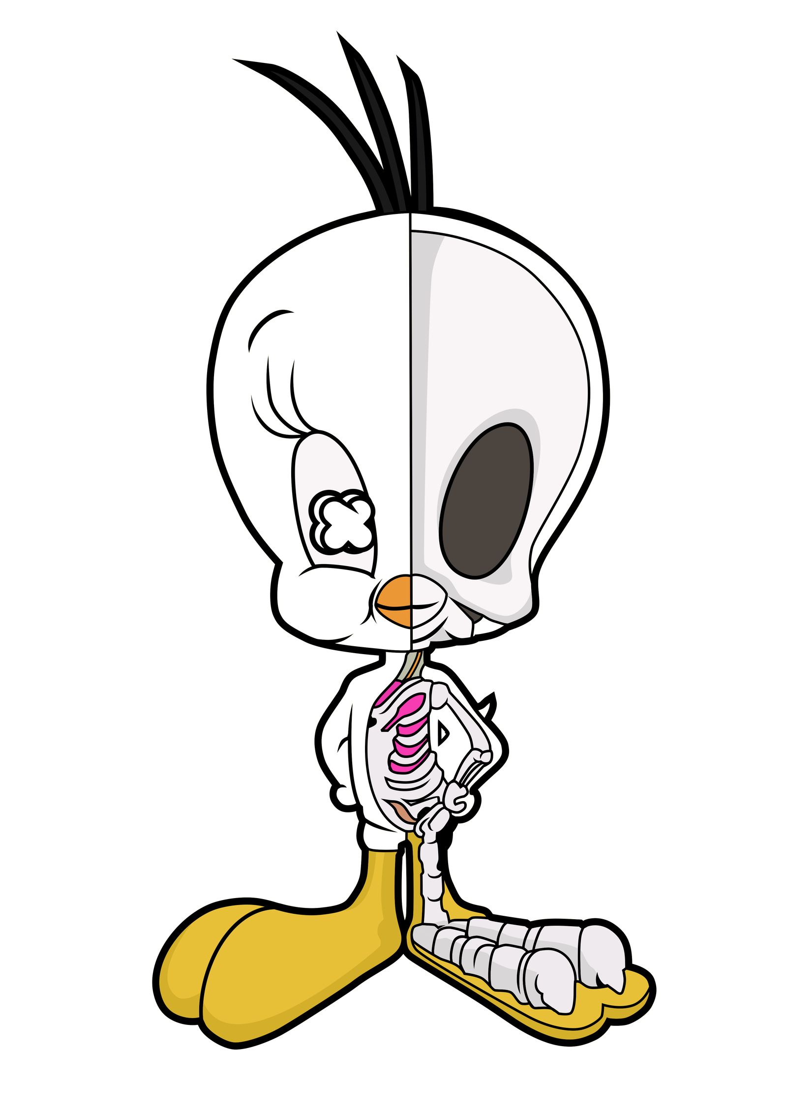 Tweety Half Skeleton