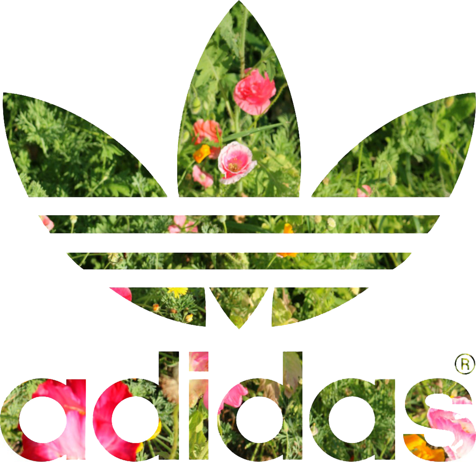 adidas verde