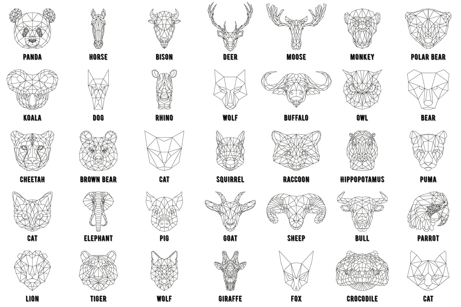animal-collection-jpg-5800×3860