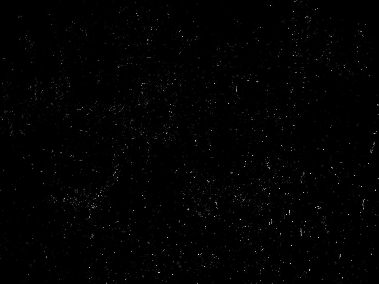 noise 8