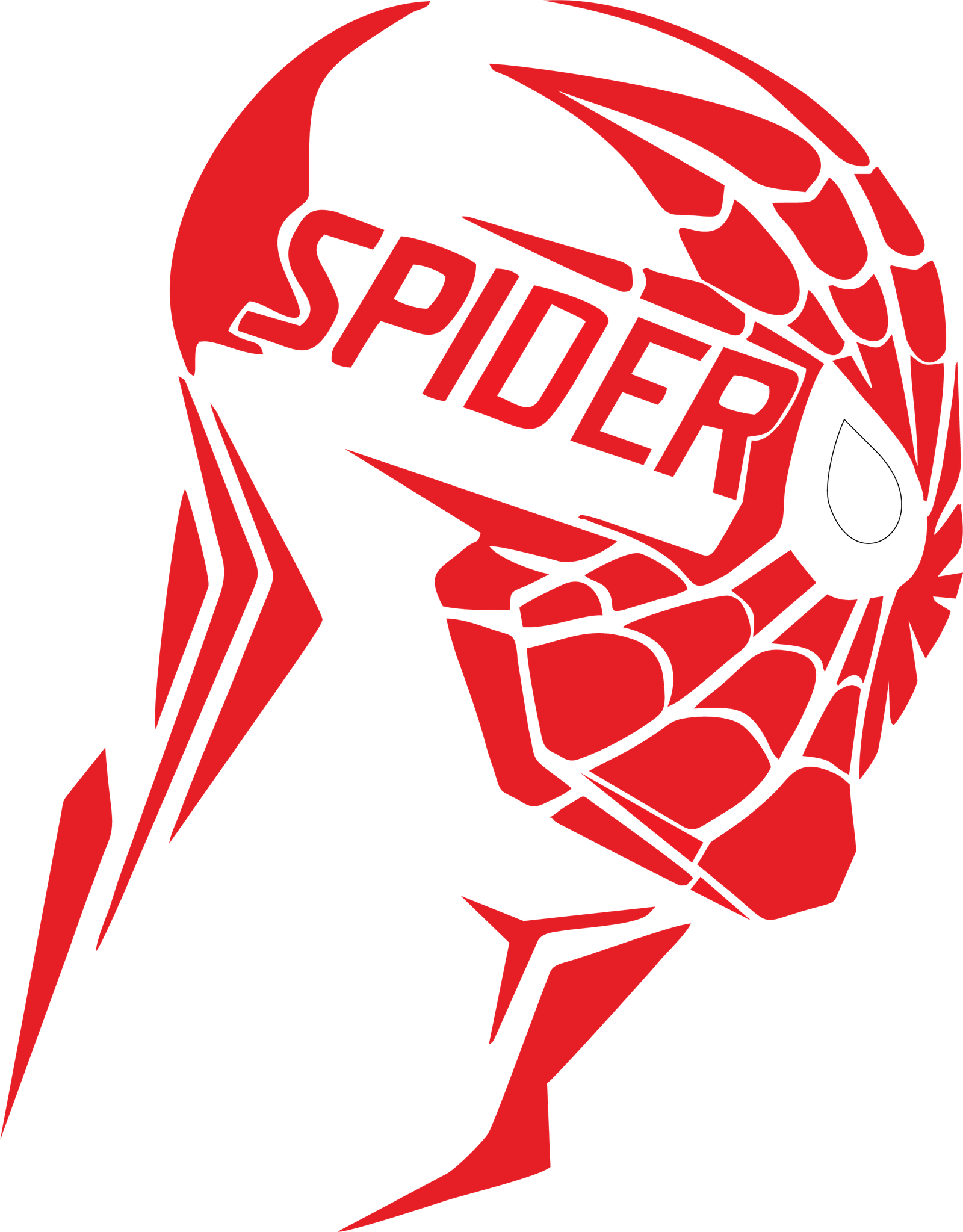 spider man playera